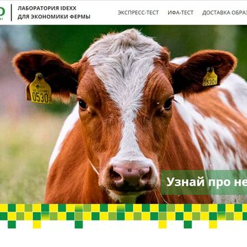 Лендинг