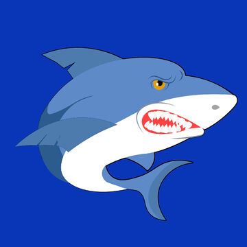 Shark