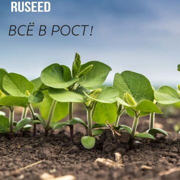 Слоган для компании-производителя семян