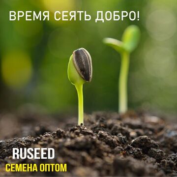 Слоган для компании-производителя семян