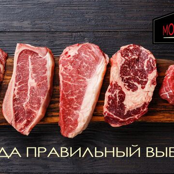 Разработка логотипа
