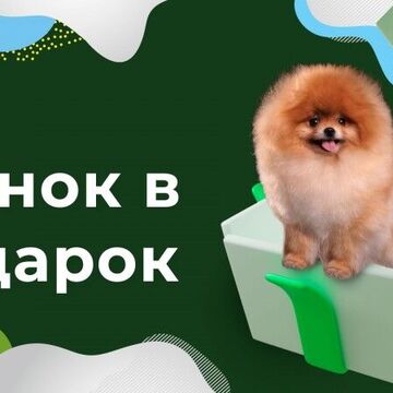 Баннер