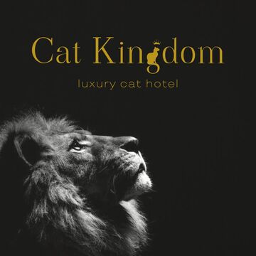 Cat Kingdom - кошачий отель для животных