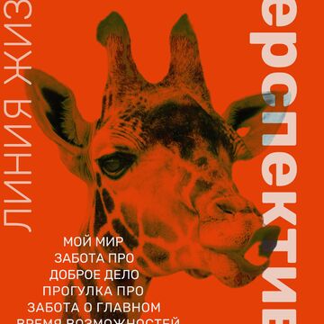 Постер название для компании (среда для маломобильных граждан)