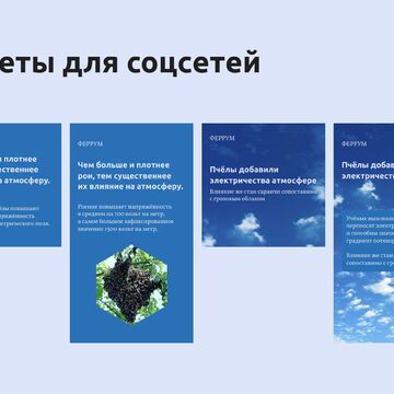 Посты и сторис.