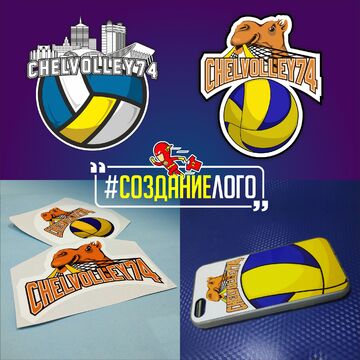 Федерация волейбола / Челябинск