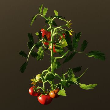 Реалистичная 3D модель куста помидоров