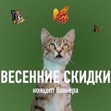 обложка к кейсу о баннерах