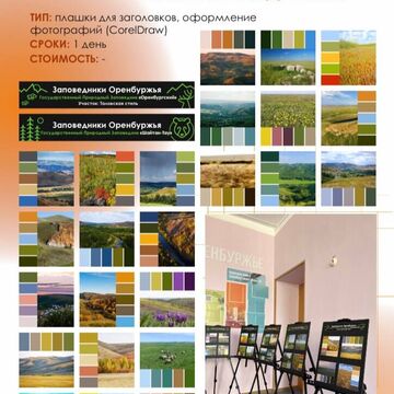 Оформление школьной выставки по заповедникам