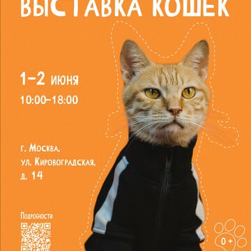 Афиша