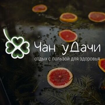 Учебная работа: "Чан уДачи" логотип