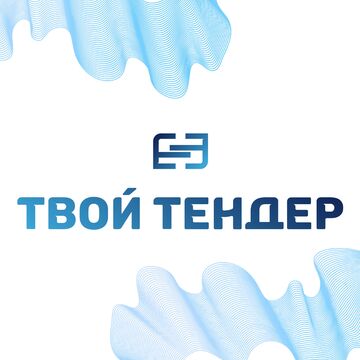 Логотип для компании "Твой Тендер"