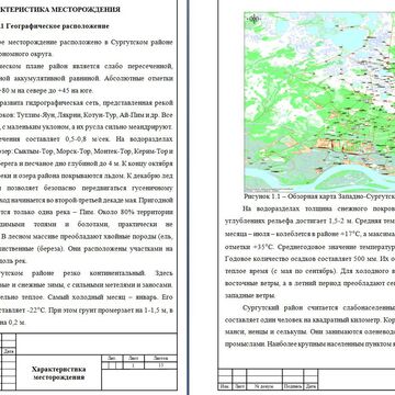 Дипломная работа (нефтегазовая отрасль)
