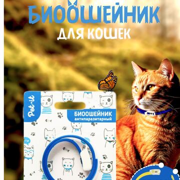 карточка WB