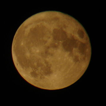The MOON