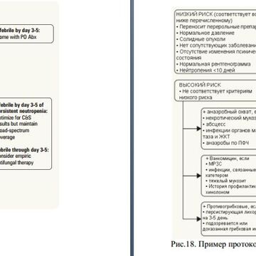 Перевод медицинского текста EN-RU