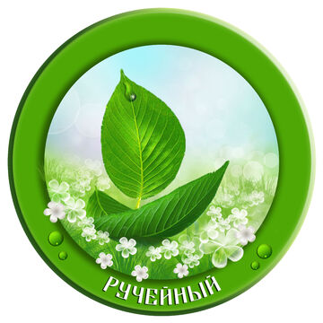 ручейный