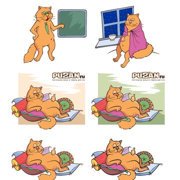 Кот Пузан