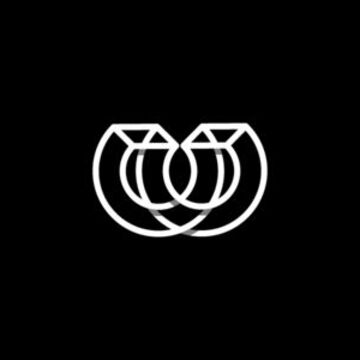 V/W
