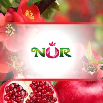 NUR