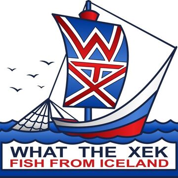 Вариант логотипа "What the xek"