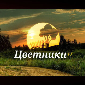 Лого