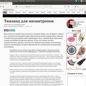 статья в интернет-издании "Газета.ру"
