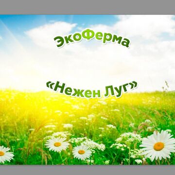 Вариант-победитель конкурса