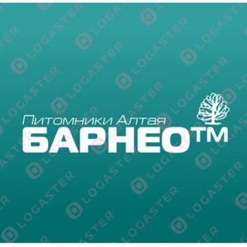 Разработка названия для загородного поселка. http://vadio.me/pitomniki/