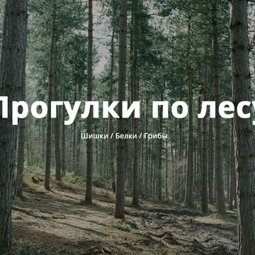 Шапка