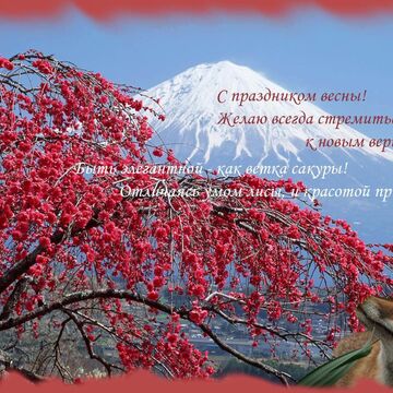 Написание стихов, поздравлений