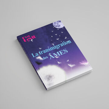 Обложка для книги "Переселение душ"
