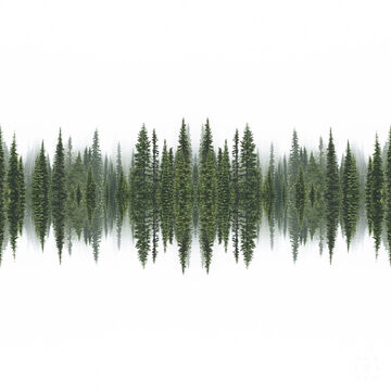 Forest  принт постер