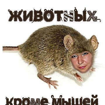 Выполнила заказ. Вставка лица человека и собственный дизайн текста (мои дизайны текста разнообразны).