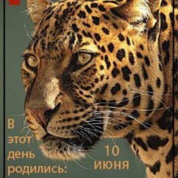 Выполняю заказ, обложка на паспорт