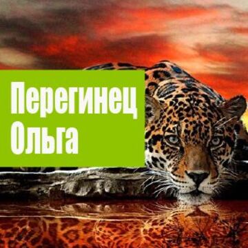 Выполнила заказ. Сделала обложку на паспорт.