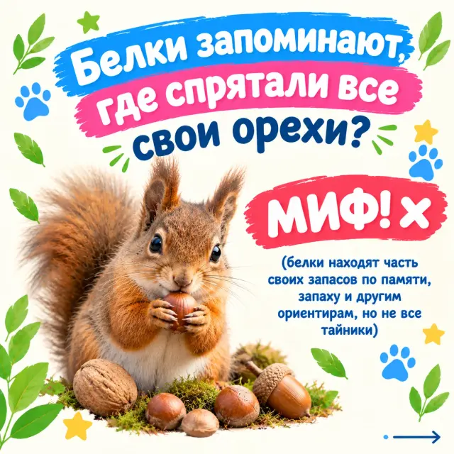 Правда или миф? Викторина про животных, изображение 5 из 6