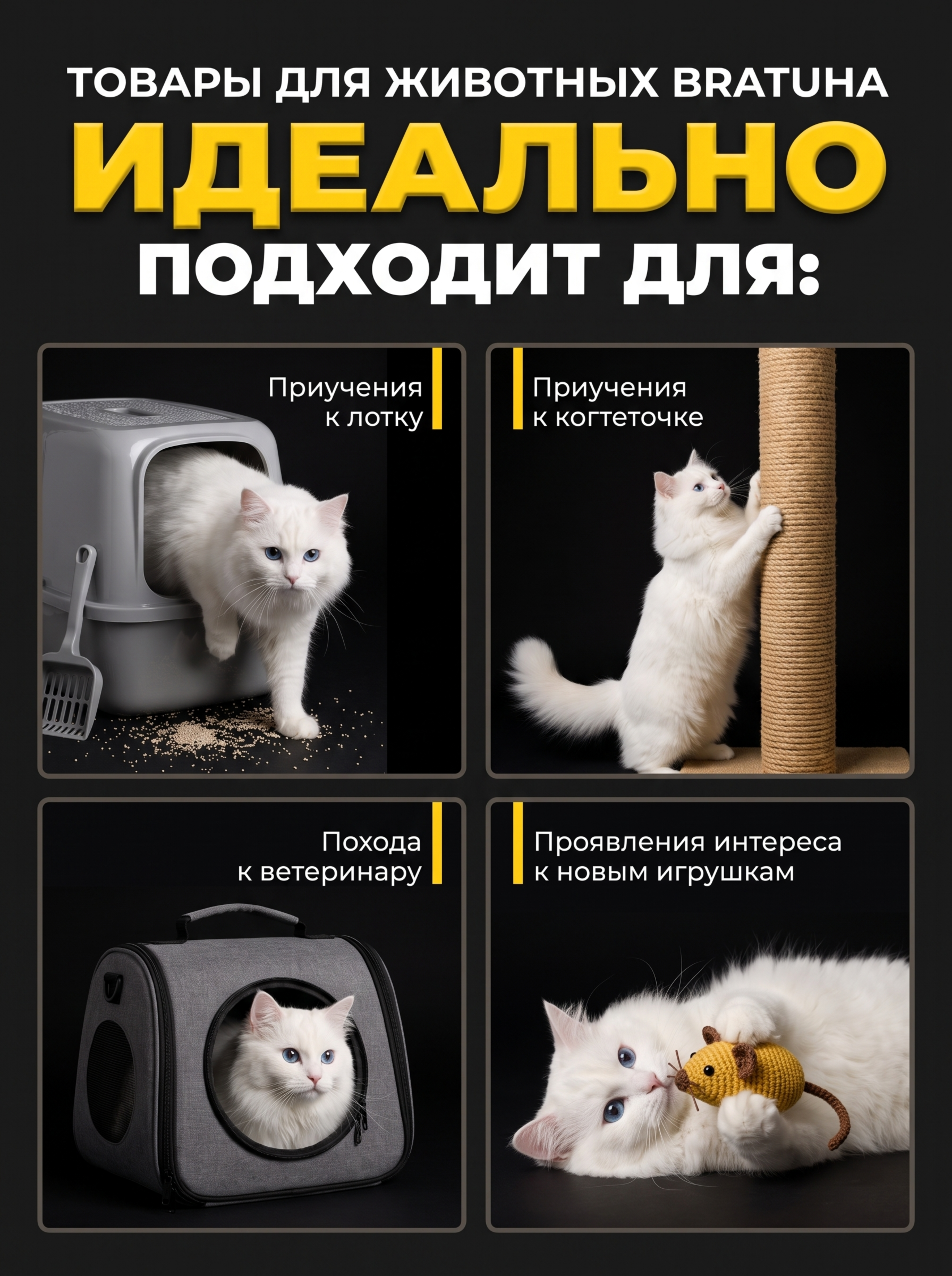 Рекламный пост товаров для животных