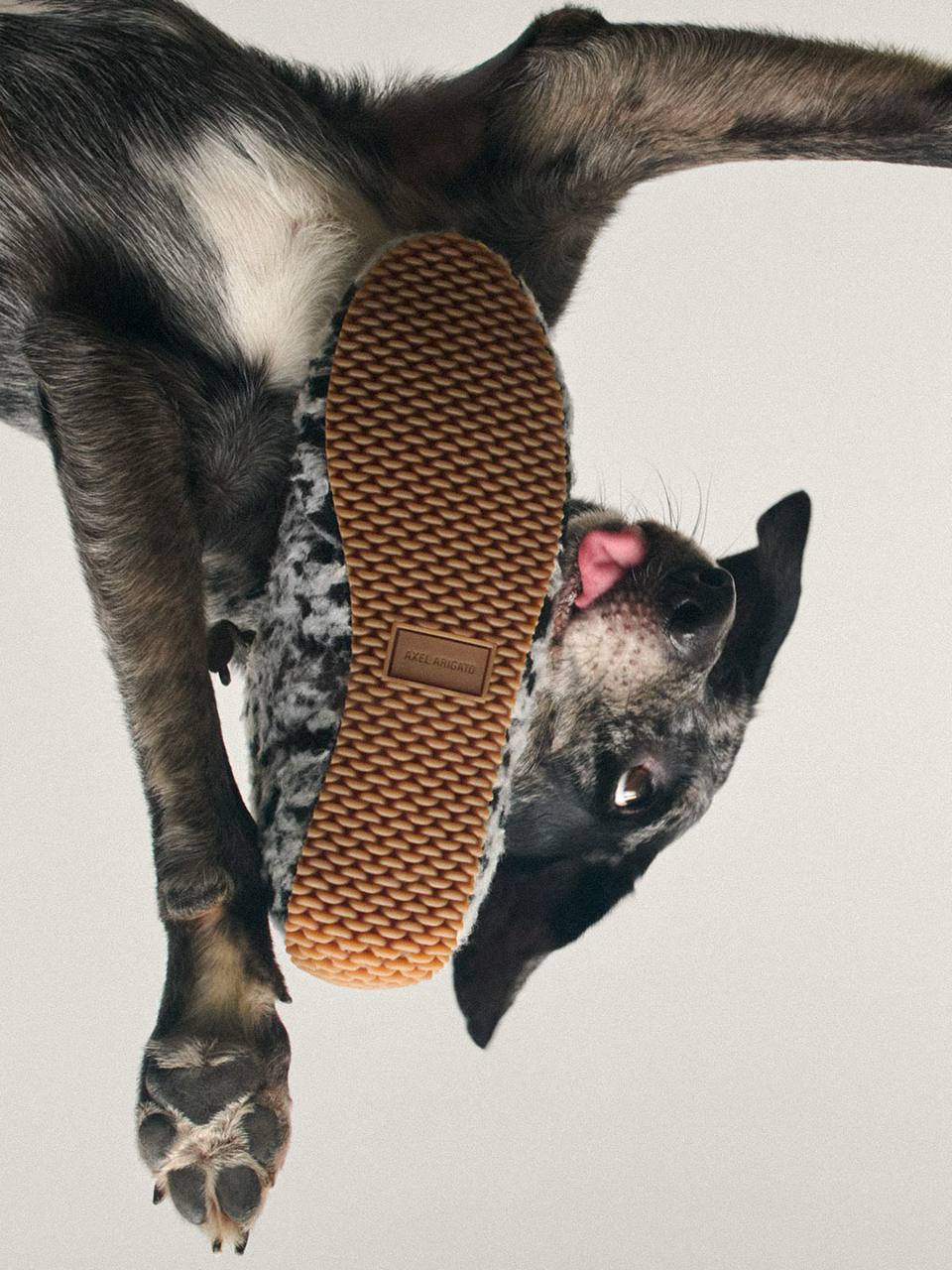 Бренд Axel Arigato, выкатив коллекцию кроссовок