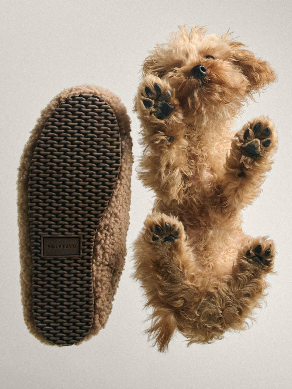 Бренд Axel Arigato, выкатив коллекцию кроссовок