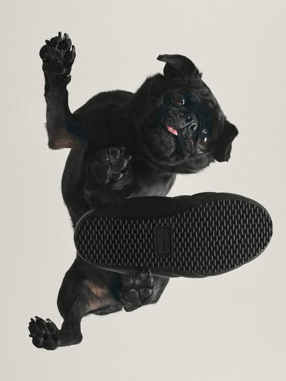 Бренд Axel Arigato, выкатив коллекцию кроссовок