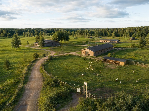 ChatGPT Image 17 июн. 2026 г., 18_59_09 (6).png