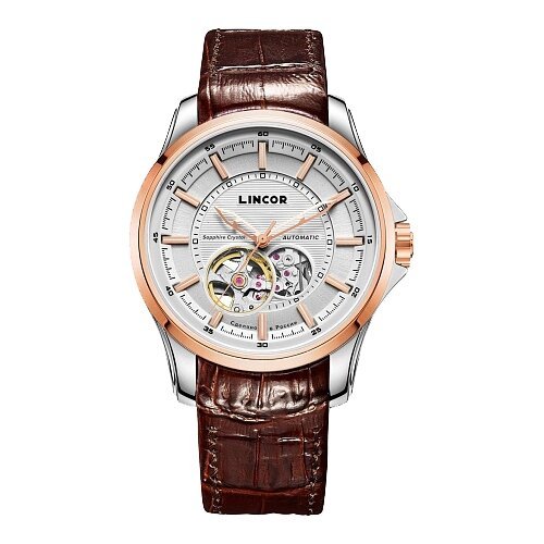 Купить Наручные часы LINCOR, золотой, коричневый
Футуристический скелетон с автоподзаво...