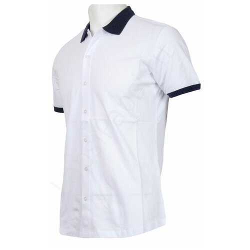 Купить Поло JB casual, размер XL, белый
Рубашка мужская Jb casual 81-502 белая хлопкова...