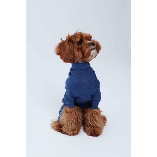 Купить Трикотажный костюм синий XL
В трикотажном костюме собака точно выделится среди д...