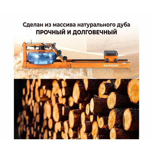 Купить Гребной тренажер DFC RUNOW Golden Wood
 

Скидка 6%
