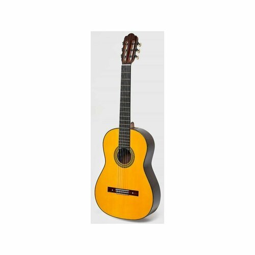 Купить Классическая гитара с кейсом Manuel Adalid Torres
Мастеровая классическая гитара...