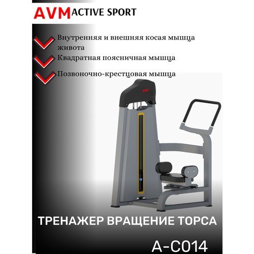 Купить Профессиональный силовой тренажер для зала Вращение торса AVM A-C014
<ul><li>Тре...