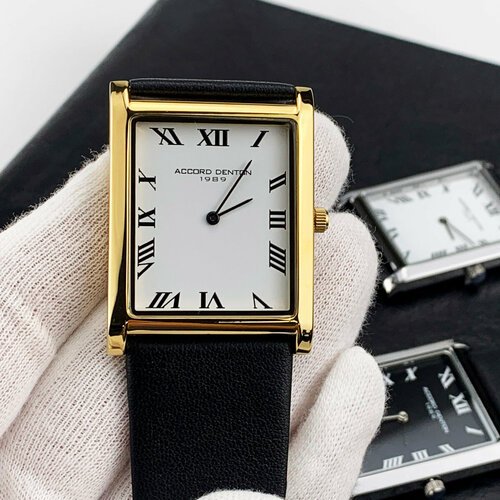 Купить Наручные часы Accord Denton 2838-черный-белый-золотой, золотой, белый
Часы наруч...