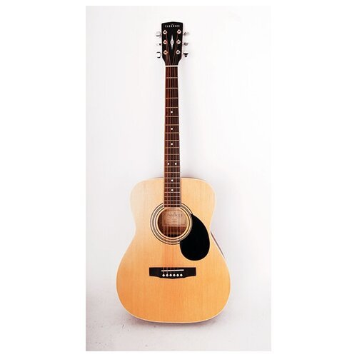 Купить Акустическая гитара с чехлом/Гитара Parkwood PF51-OP
PF51-OP Акустическая гитара...